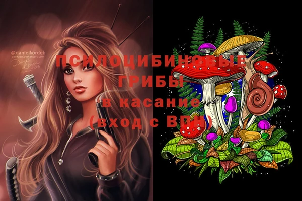 spice Каменск-Шахтинский