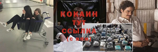 дживик Каменка