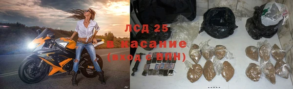 индика Карталы