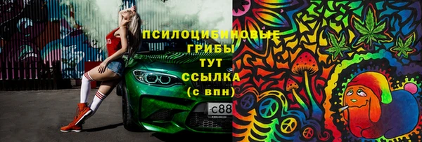 индика Карталы