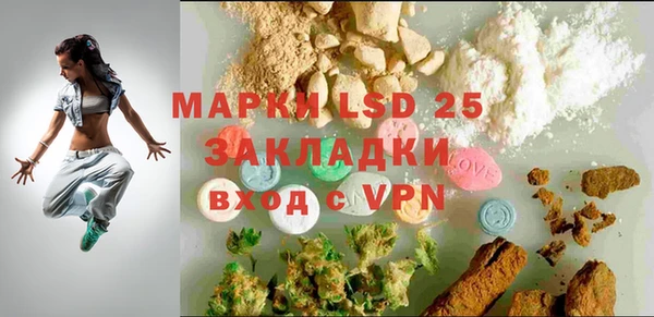 дживик Каменка