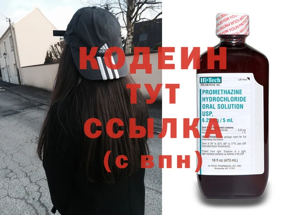индика Карталы