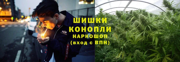 индика Карталы