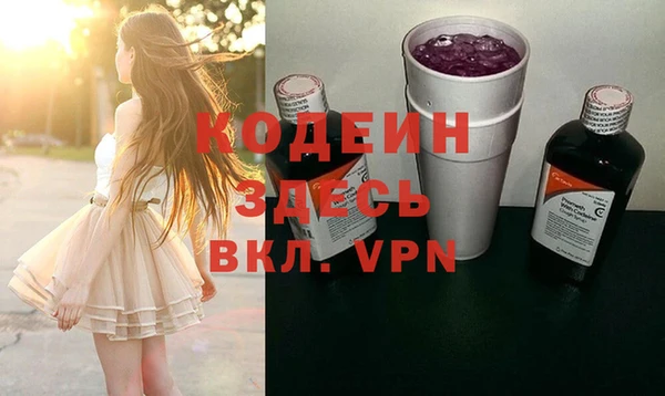 дживик Каменка